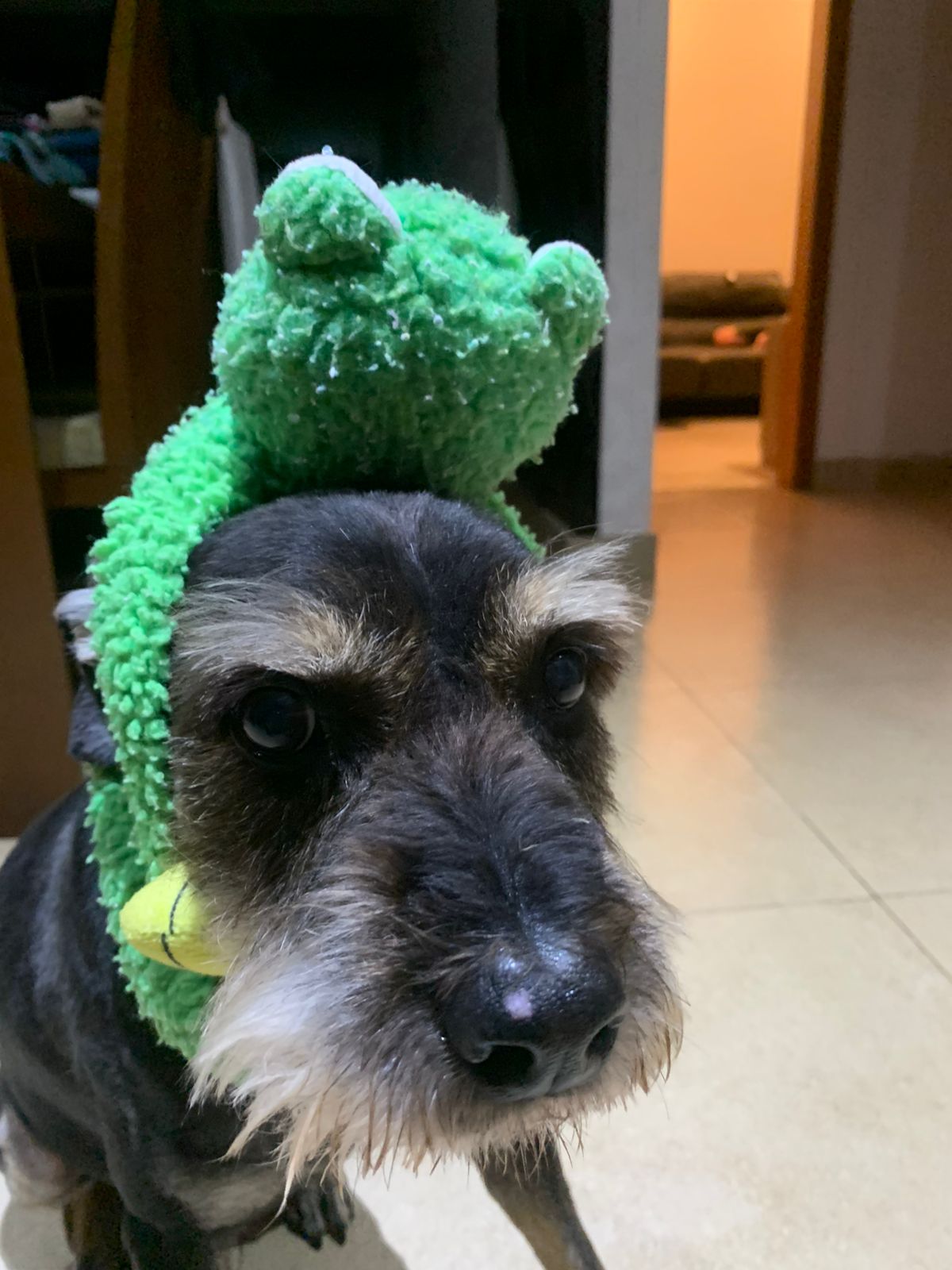 Floquinho